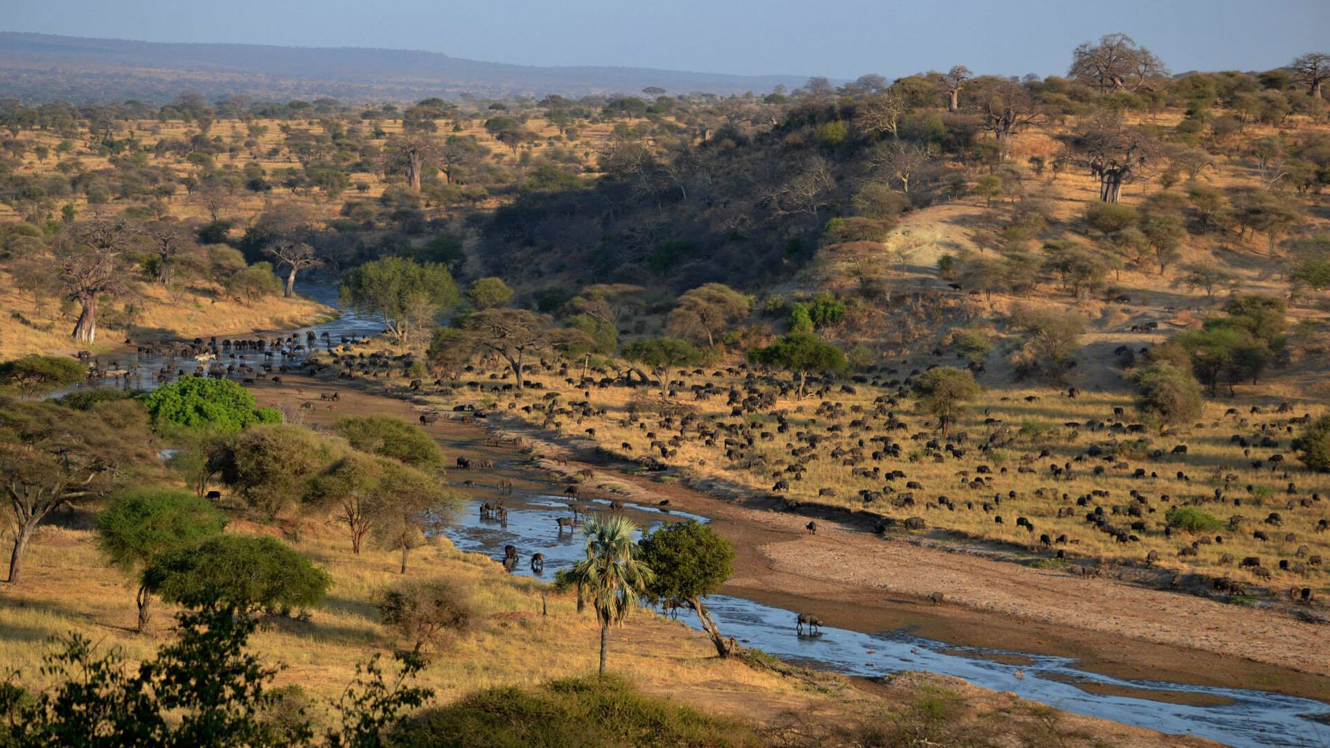 2-Day Taste of Tanzania Safari