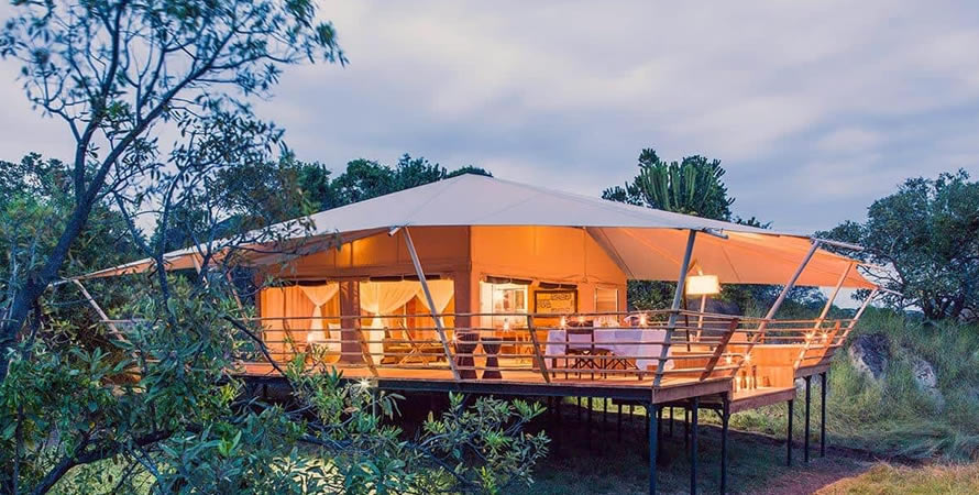 5-Day Luxury Lodge Tanzania Safari