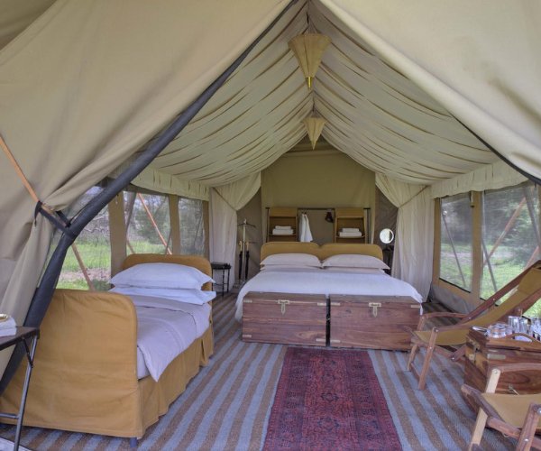 5 Days Ndutu And Centrol Serengeti Lodges Safari