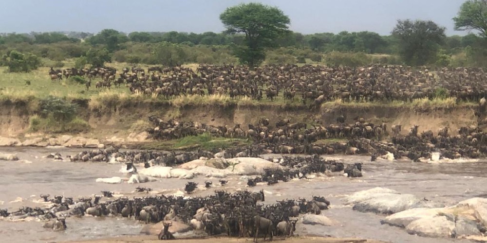 6 Days Wildebeest Migration Safari