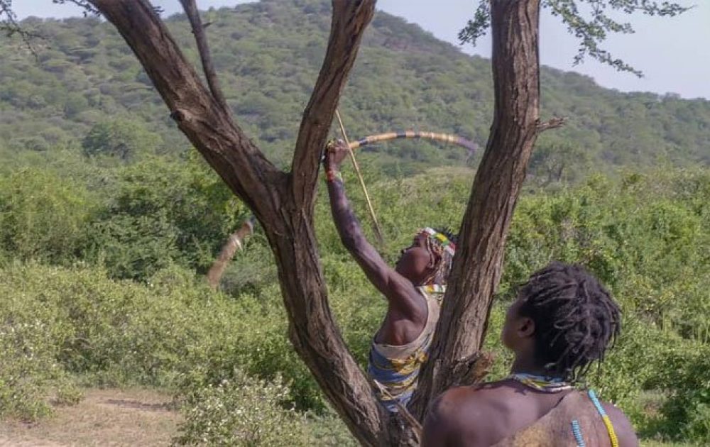 Hadzabe & Datoga Cultural Experience