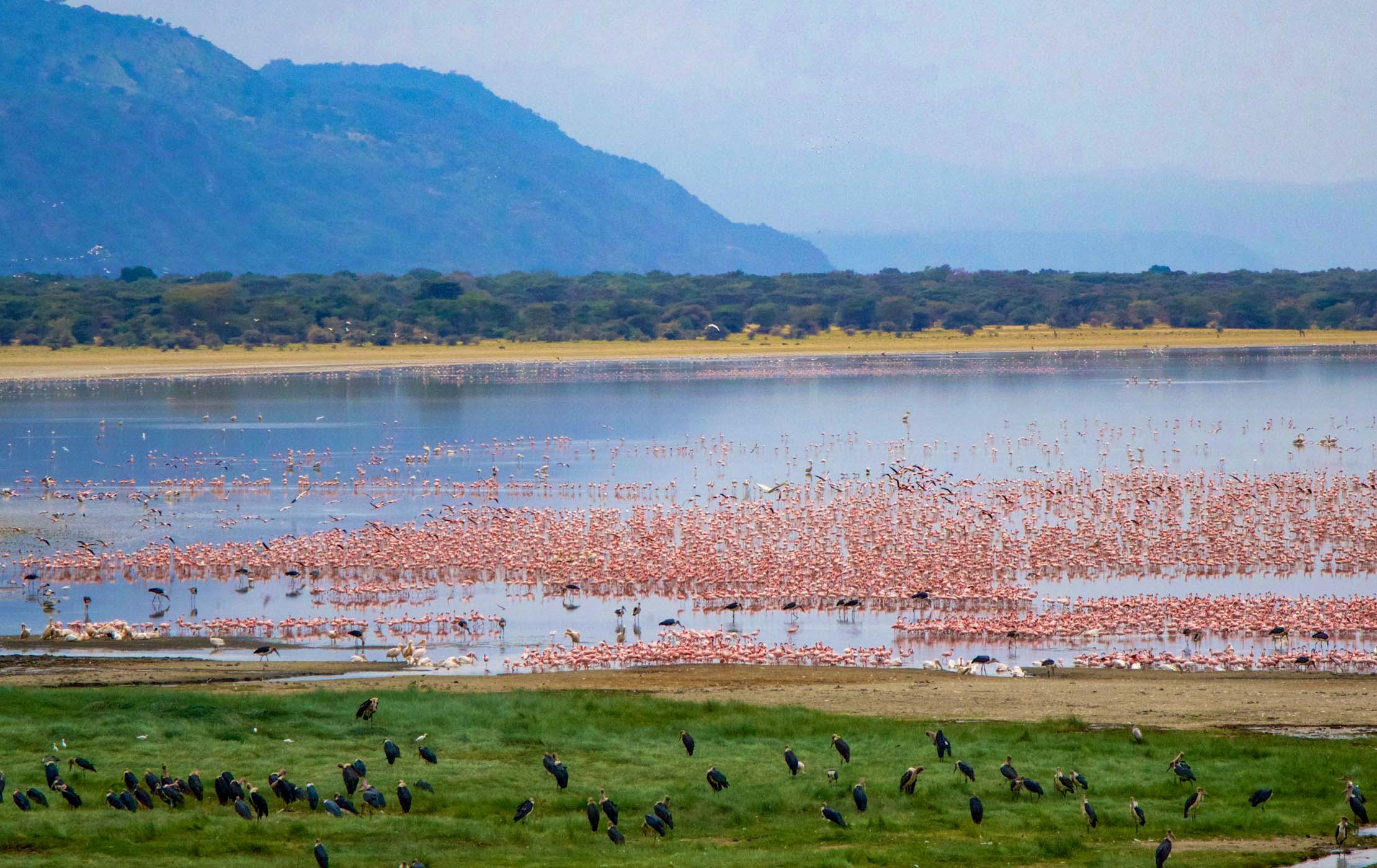 Lake Manyara National Park with Kids