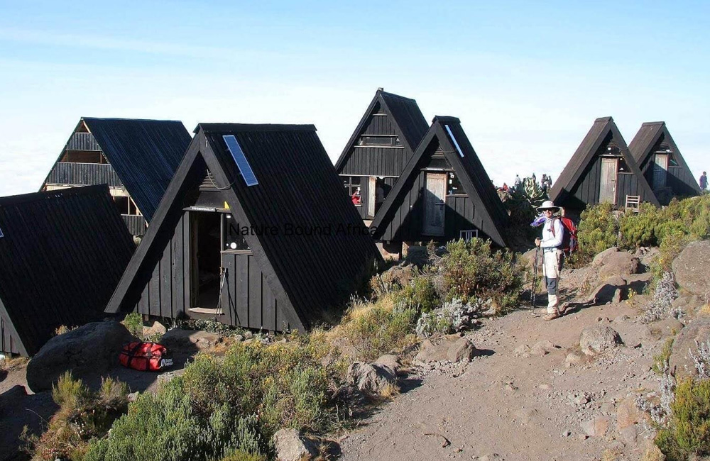 5 Day Kilimanjaro hike : Marangu` Route