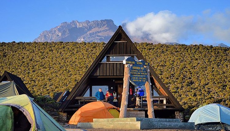  6 Day Kilimanjaro hike : Marangu Route