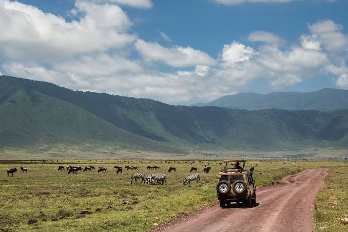 Ngorongoro Crater with Kids
