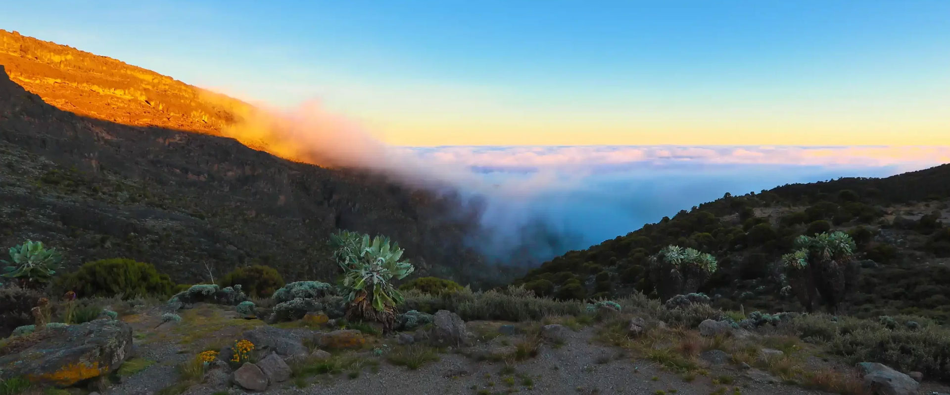 Machame Route Kilimanjaro