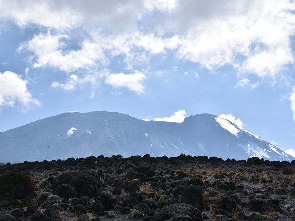 10 days northern circuit kilimanjaro
